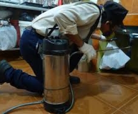 DỊCH VỤ PHUN DIỆT GIÁN