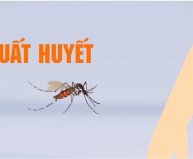 DỊCH VỤ PHUN DIỆT MUỖI 