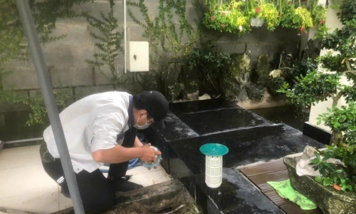 DIỆT MỐI TẬN GỐC KHU VỰC THÀNH PHỐ MỚI BÌNH DƯƠNG