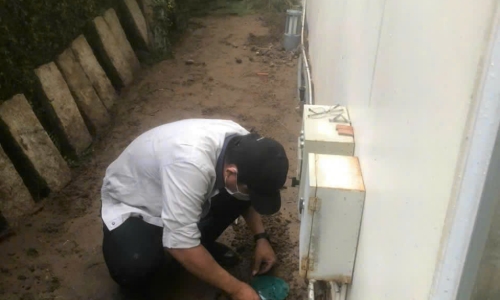 Diệt Mối Tận Gốc Khu Vực Tân Uyên