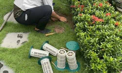 Diệt Mối Tận Gốc Khu Vực Dầu Tiếng