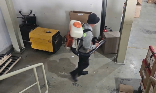 Diệt Mối Chuyên Nghiệp Tại Quận 2
