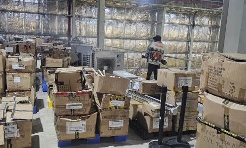 Diệt Mối Tận Gốc Tại Quận 1