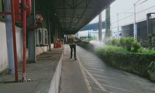 Diệt Mối Tận Gốc Tại Long An