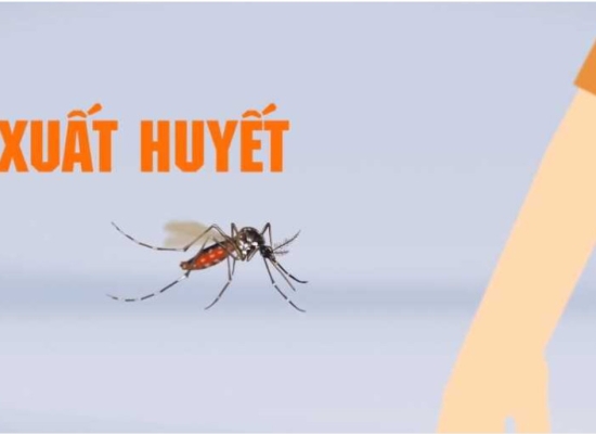 DỊCH VỤ PHUN DIỆT MUỖI 