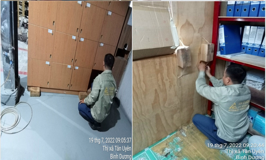 Đặt hộp khử mối